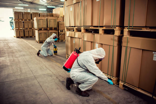 Best Rat Extermination Near Me  in Cave Junction, OR