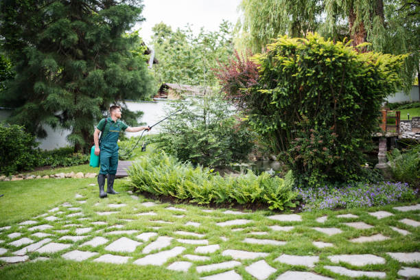 Best Wasp Removal Services  in Cave Junction, OR