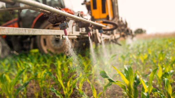 Best Commercial Pest Control Services  in Cave Junction, OR